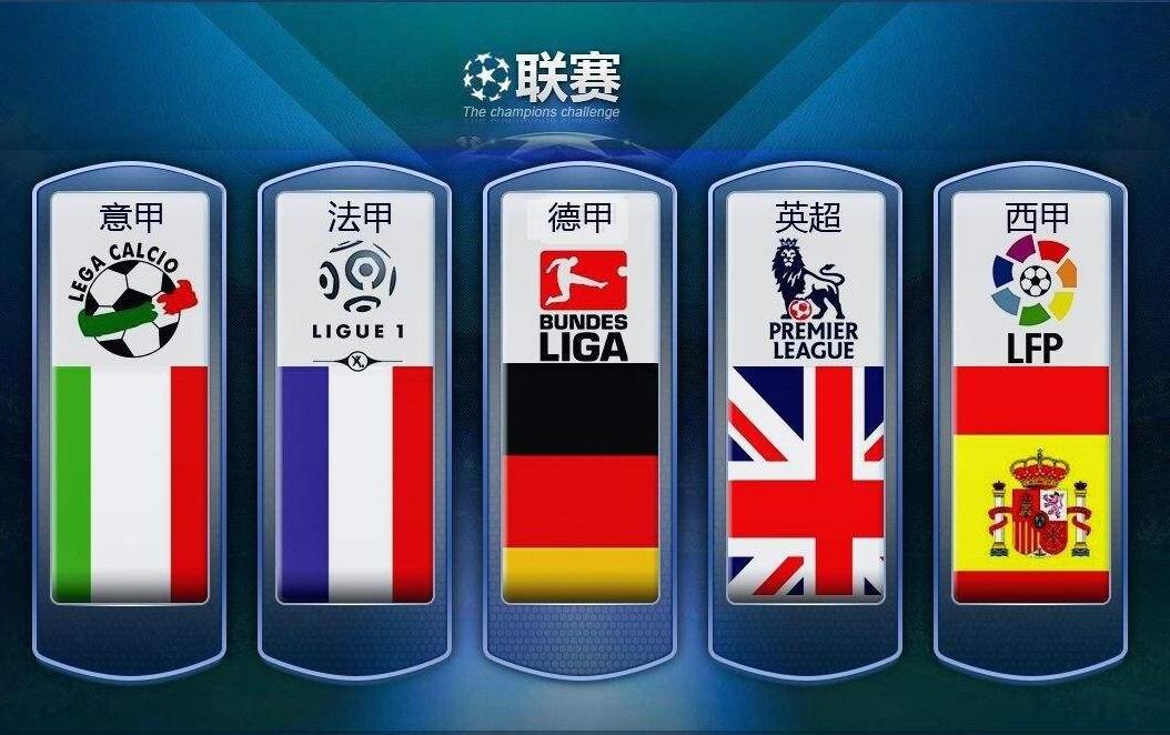 案例显示