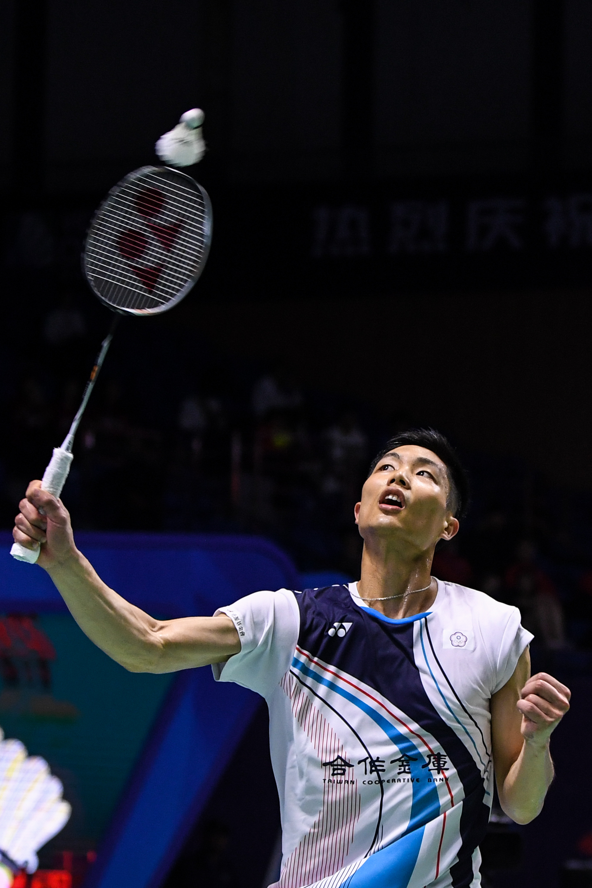 不仅仅是某 不仅仅是某